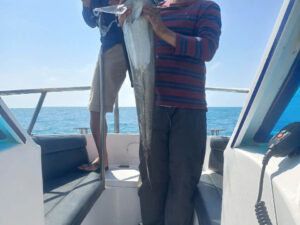 TOUR CÂU CÁ LỚN – TRẢI NGHIỆM SĂN CÁ GIỮA BIỂN KHƠI